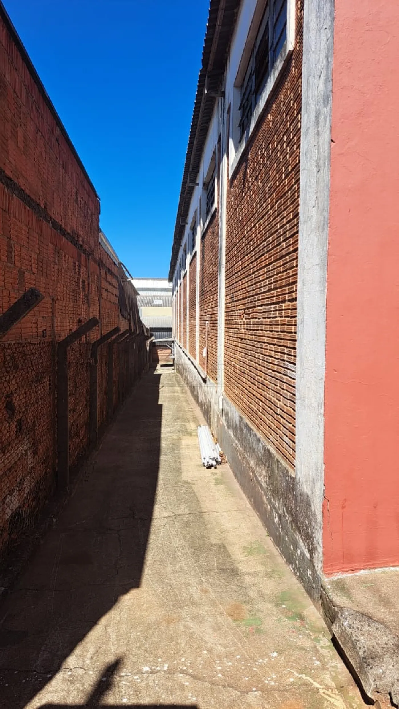 Alugar Industrial / Galpão em Americana R$ 8.500,00 - Foto 4