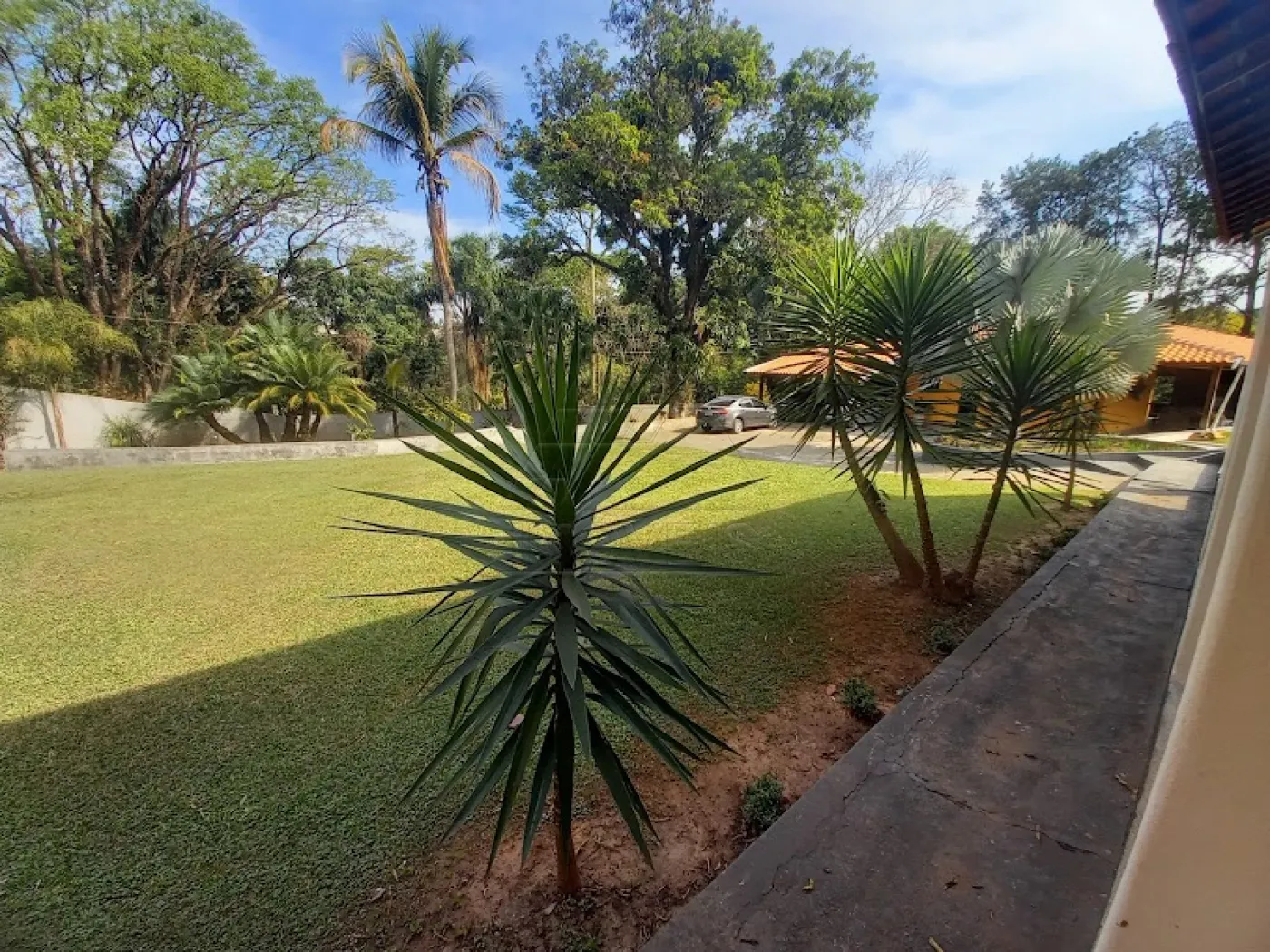 Comprar Rural / Chácara em Limeira R$ 4.000.000,00 - Foto 5