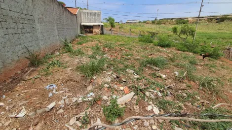 imagem 3 - Terreno à venda no bairro Vila Dainese/Jardim São Roque em Americana imagem 3 - Terreno à venda no bairro Vila Dainese/Jardim São Roque em Americana