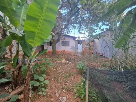 imagem 3 - Terreno à venda no bairro Vila Mathiensen em Americana imagem 3 - Terreno à venda no bairro Vila Mathiensen em Americana